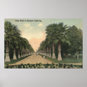 KalifornienPalmen entlang der Straße Poster
