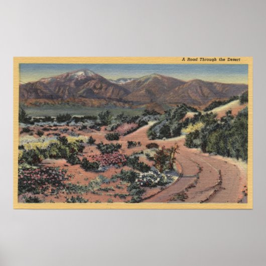 KalifornienScenic Desert View Poster (Vorne)