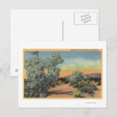 KalifornienSicht auf die Rauchbaumen in der Wüste Postkarte (Vorne/Hinten)