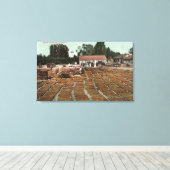 KalifornienSicht auf Pfirsiche Trocknen in der Son Leinwanddruck (Insitu (Holzboden))