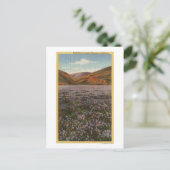 KalifornienWilde Lupine-Blume in Bloom Postkarte (Stehend Vorderseite)