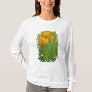 Kalifornische goldene Mohnblumen auf einem grünen T-Shirt