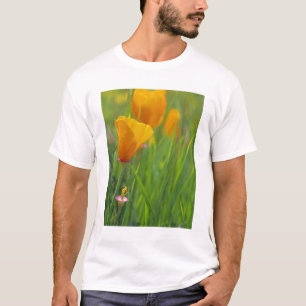 Kalifornische goldene Mohnblumen auf einem grünen T-Shirt