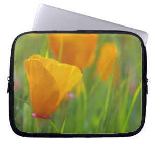 Kalifornische Goldmohnblumen auf einem grünen Feld Laptopschutzhülle