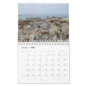 Kalifornische Leinwand: Asilomar Kalender (Jan 2026)