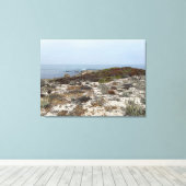Kalifornische Leinwand: Asilomar Leinwanddruck (Insitu (Holzboden))