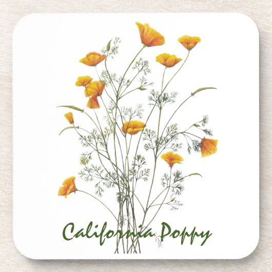 Kalifornische Mohnblütenfarbe in grün gelb Getränkeuntersetzer (Vorderseite)