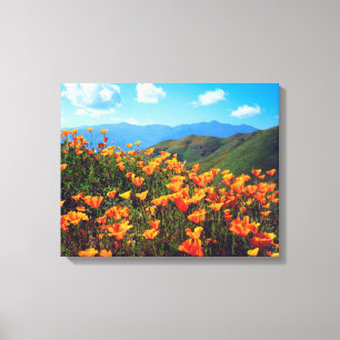 Kalifornische Pappenwälder, die einen Hang bedecke Leinwanddruck