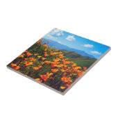 Kalifornische Pfeffer, die einen Hügel bedecken Fliese (Seite)