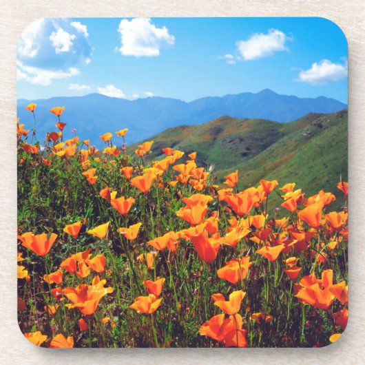 Kalifornische Pfeffer, die einen Hügel bedecken Getränkeuntersetzer (Vorderseite)