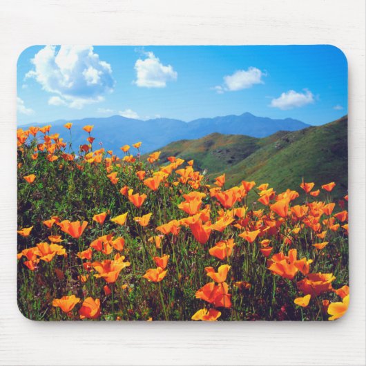 Kalifornische Pfeffer, die einen Hügel bedecken Mousepad (Vorne)