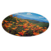 Kalifornische Pfeffer, die einen Hügel bedecken Schneidebrett (Ecke)