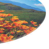 Kalifornische Pfeffer, die einen Hügel bedecken Schneidebrett (Ecke)