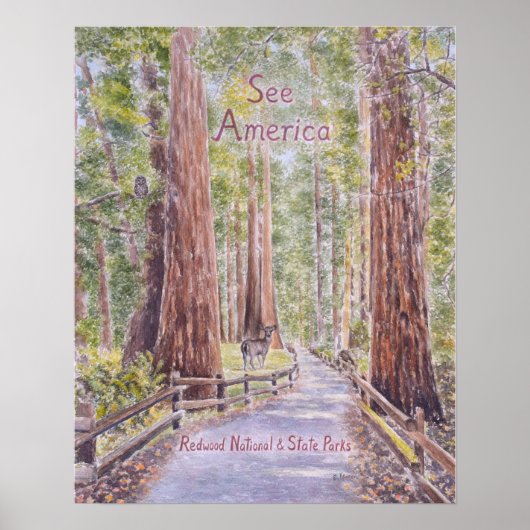 Kalifornische Redwoods Poster (Vorne)
