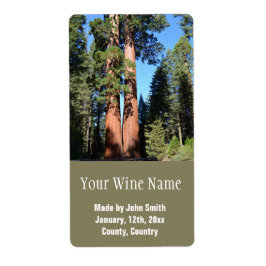 Kalifornische Riesenbäume.