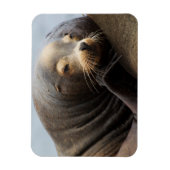 Kalifornische Seelenruhe Magnet (Vertikal)