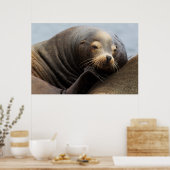 Kalifornische Seelenruhe Poster (Küche)