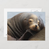 Kalifornische Seelenruhe Postkarte (Vorne/Hinten)