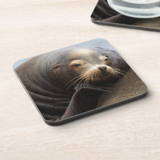 Kalifornische Seelenruhe Untersetzer (Linke Seite)