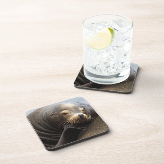 Kalifornische Seelenruhe Untersetzer (Rechte Seite)