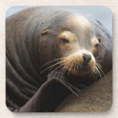 Kalifornische Seelenruhe Untersetzer (Vorderseite)