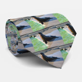 Kalifornische Seelöwen Krawatte (Gerollt)