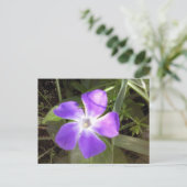 Kalifornische Wildblume Postkarte (Stehend Vorderseite)