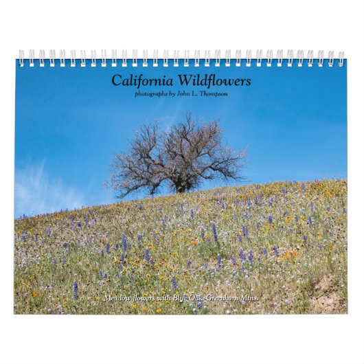 Kalifornische Wildblumen 2020 Kalender (Titelbild)