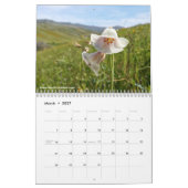 Kalifornische Wildblumen 2020 Kalender (Mär 2027)