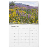 Kalifornische Wildblumen 2020 Kalender (Jan 2027)