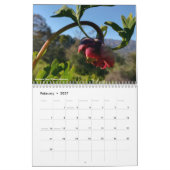 Kalifornische Wildblumen 2020 Kalender (Feb 2027)