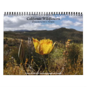 Kalifornische Wildblumen Kalender