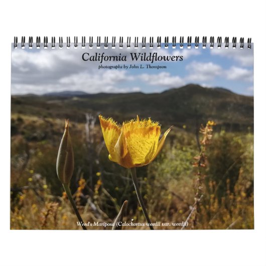 Kalifornische Wildblumen Kalender (Titelbild)