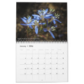 Kalifornische Wildblumen Kalender (Jan 2026)