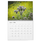 Kalifornische Wildblumen Kalender (Mär 2026)
