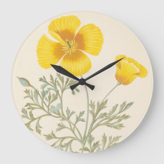 Kalifornischer Eschscholtzia Große Wanduhr (Vorderseite)