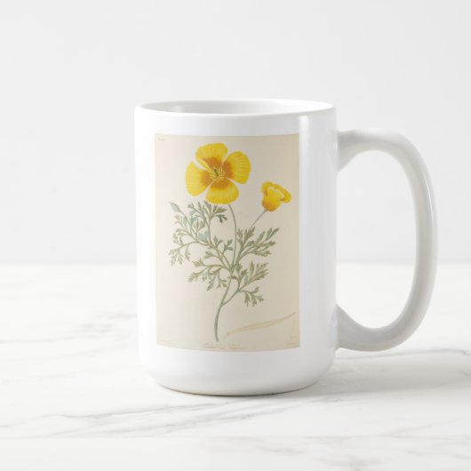 Kalifornischer Eschscholtzia Kaffeetasse (Rechts)