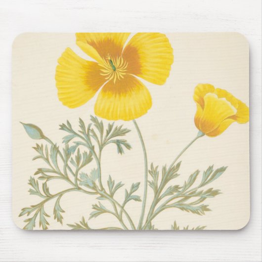 Kalifornischer Eschscholtzia Mousepad (Vorne)