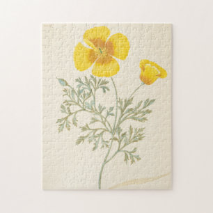 Kalifornischer Eschscholtzia Puzzle