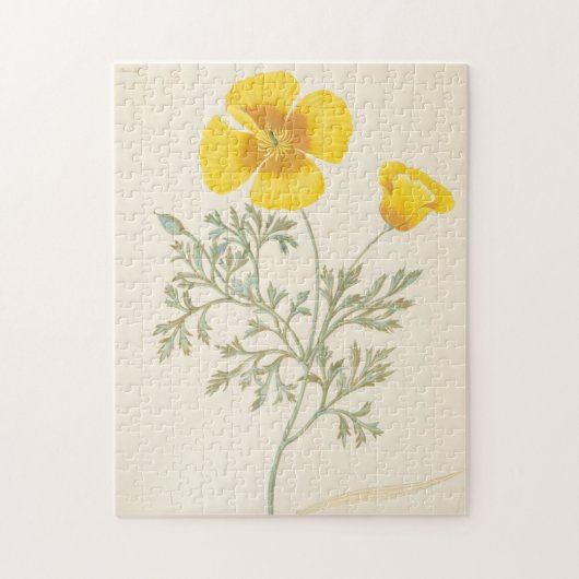 Kalifornischer Eschscholtzia Puzzle (Vertikal)