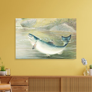 Kalifornischer Lachs von S.A. Kilbourne, Vintage F Leinwanddruck