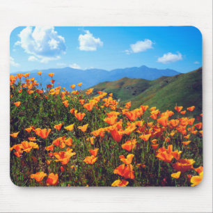 Kalifornischer Mohn bedeckt einen Hügel Mousepad