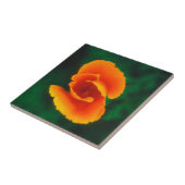 Kalifornischer Mohn Fliese (Seite)