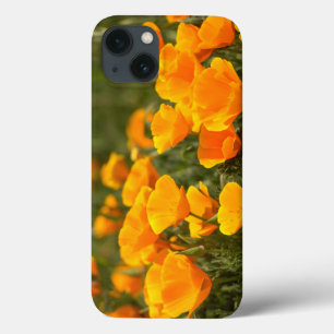 Kalifornischer Mohn, Montana de Oro State Park Case-Mate iPhone Hülle