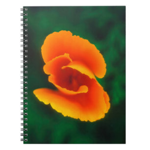 Kalifornischer Mohn Notizblock