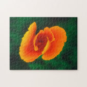 Kalifornischer Mohn Puzzle (Horizontal)
