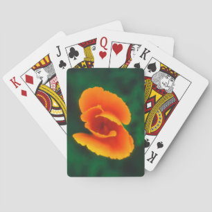 Kalifornischer Mohn Spielkarten