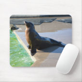 Kalifornischer Seelöwe Mousepad (Mit Mouse)