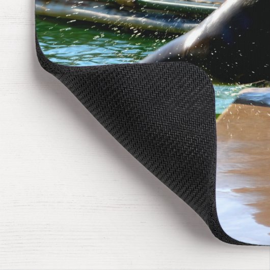 Kalifornischer Seelöwe Mousepad (Ecke)