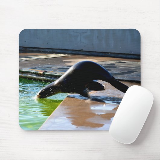 Kalifornischer Seelöwe Mousepad (Mit Mouse)